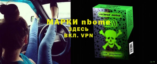 стаф Алексин