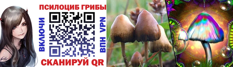 что такое наркотик  Яхрома  Псилоцибиновые грибы мухоморы 